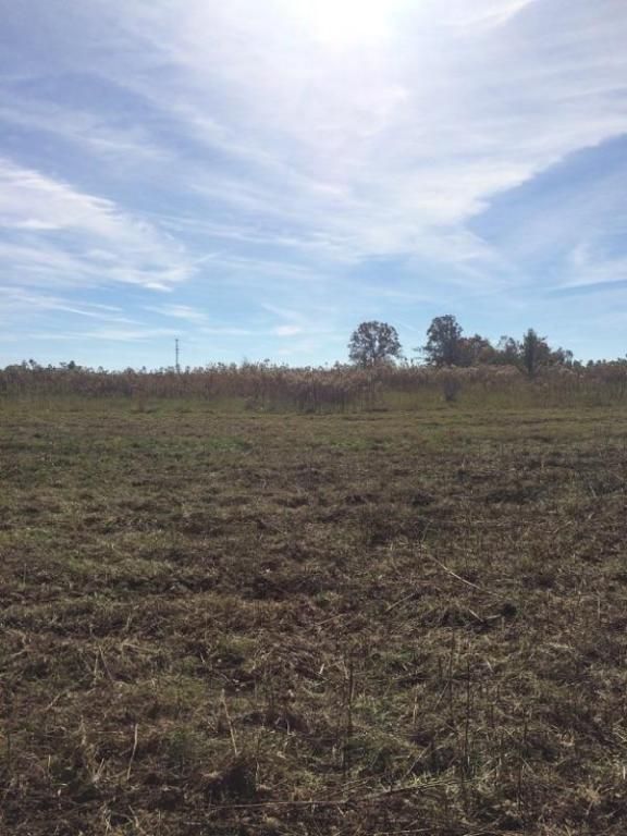 Plateau Road: Plateau Road, Crossville, TN 38571
